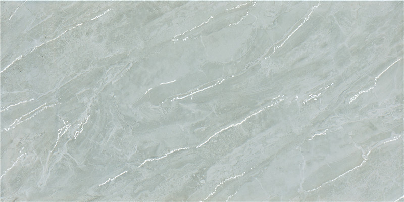 PM805D---.jpg